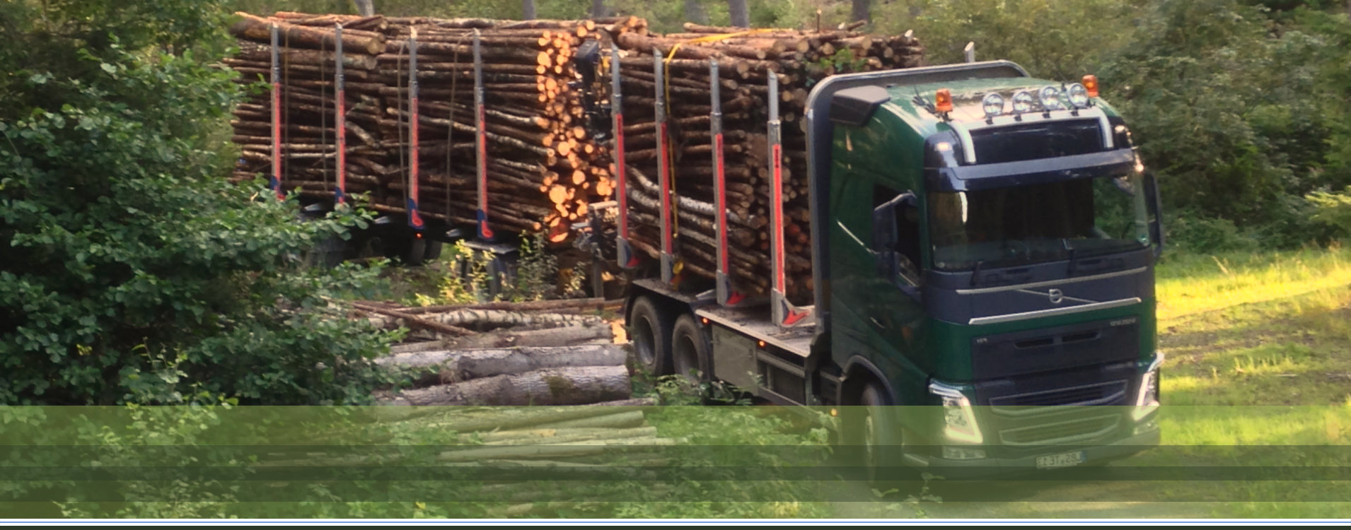 Holzrückung und Transport  KOX – Partner in Forst und Garten