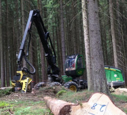 Aufarbeitung von langem Stammholz an Verjngungsflchen