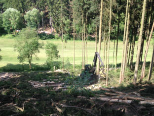 Endnutzung eines Fichten-Altholz-Bestandes im bergangsgelnde mit unserem John Deere 1170e